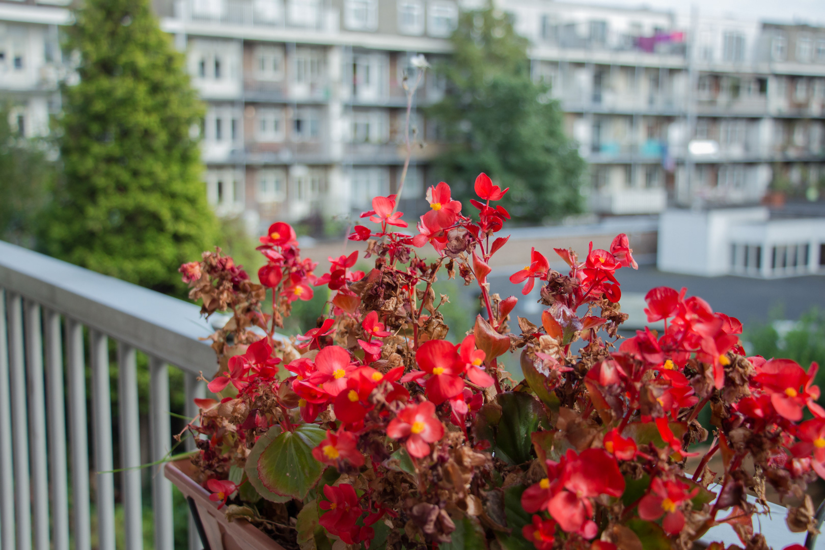 Amsterdam Weekend - Image 2