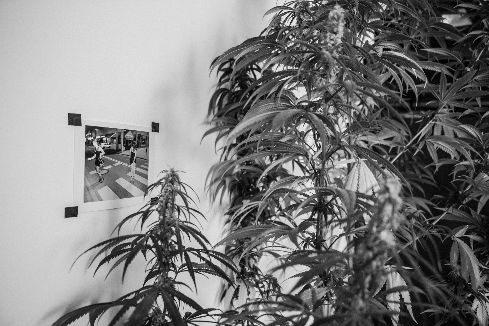 Amsterdam Weekend - Image 6