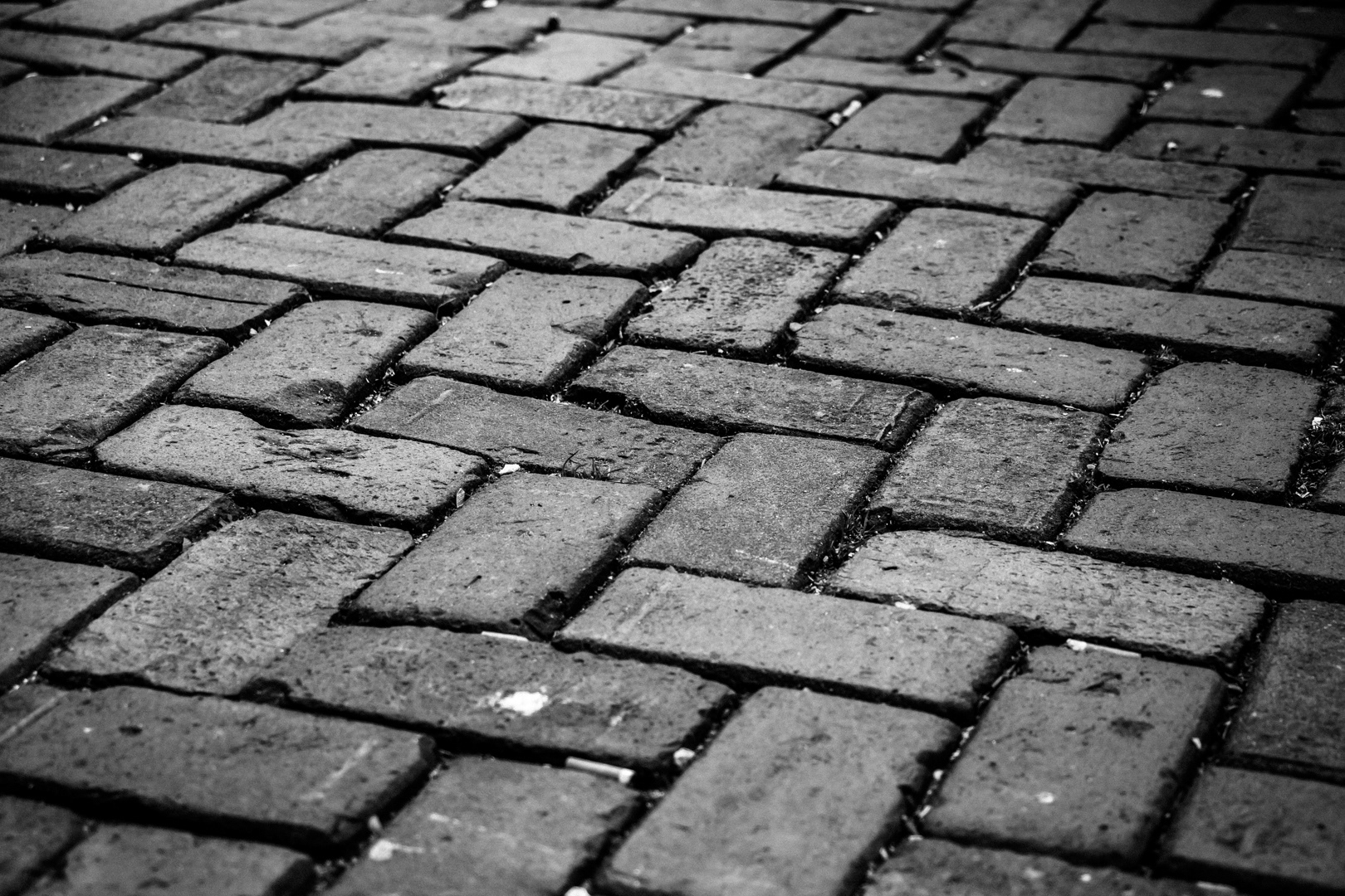 Amsterdam Weekend - Image 14