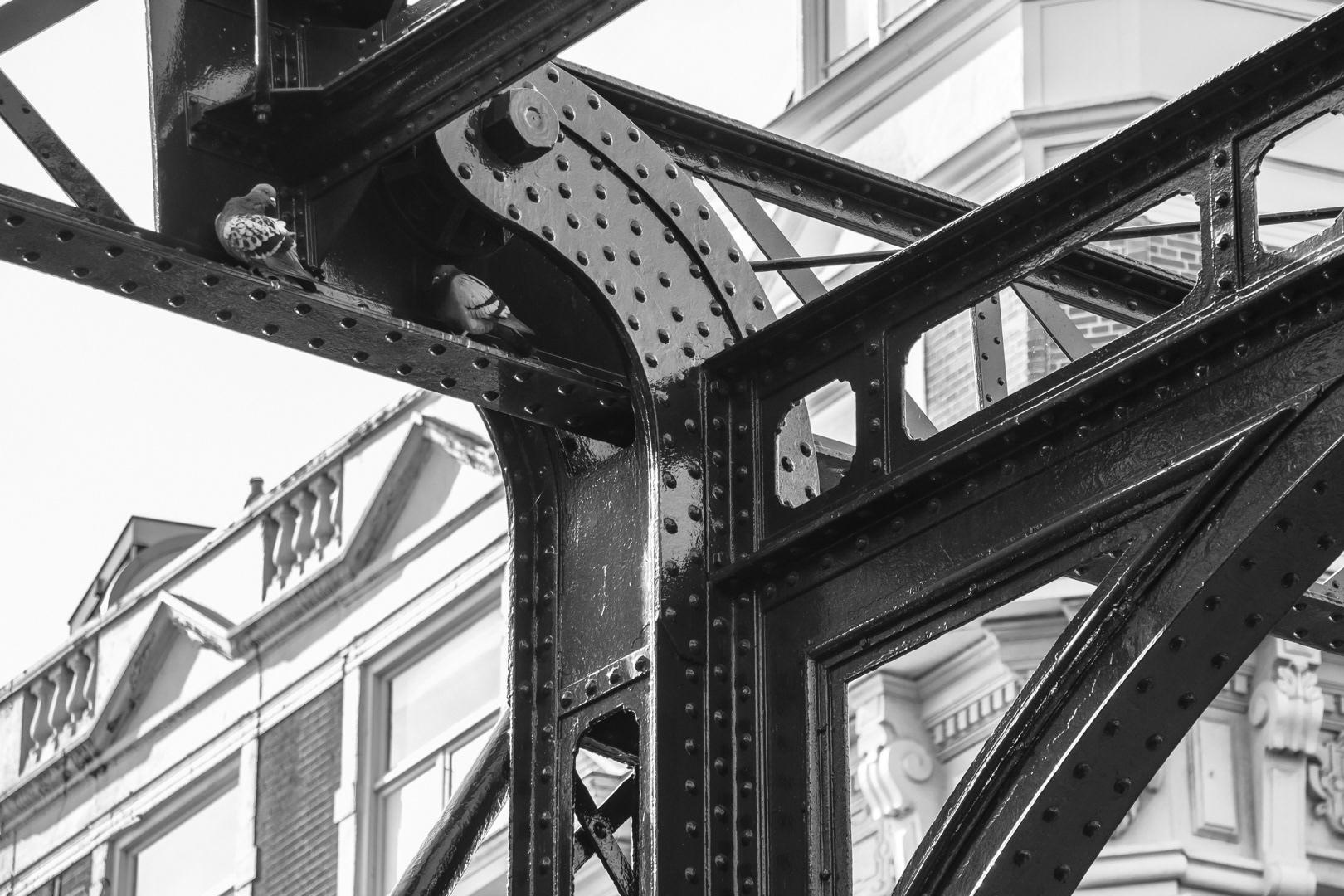 Amsterdam Weekend - Image 22