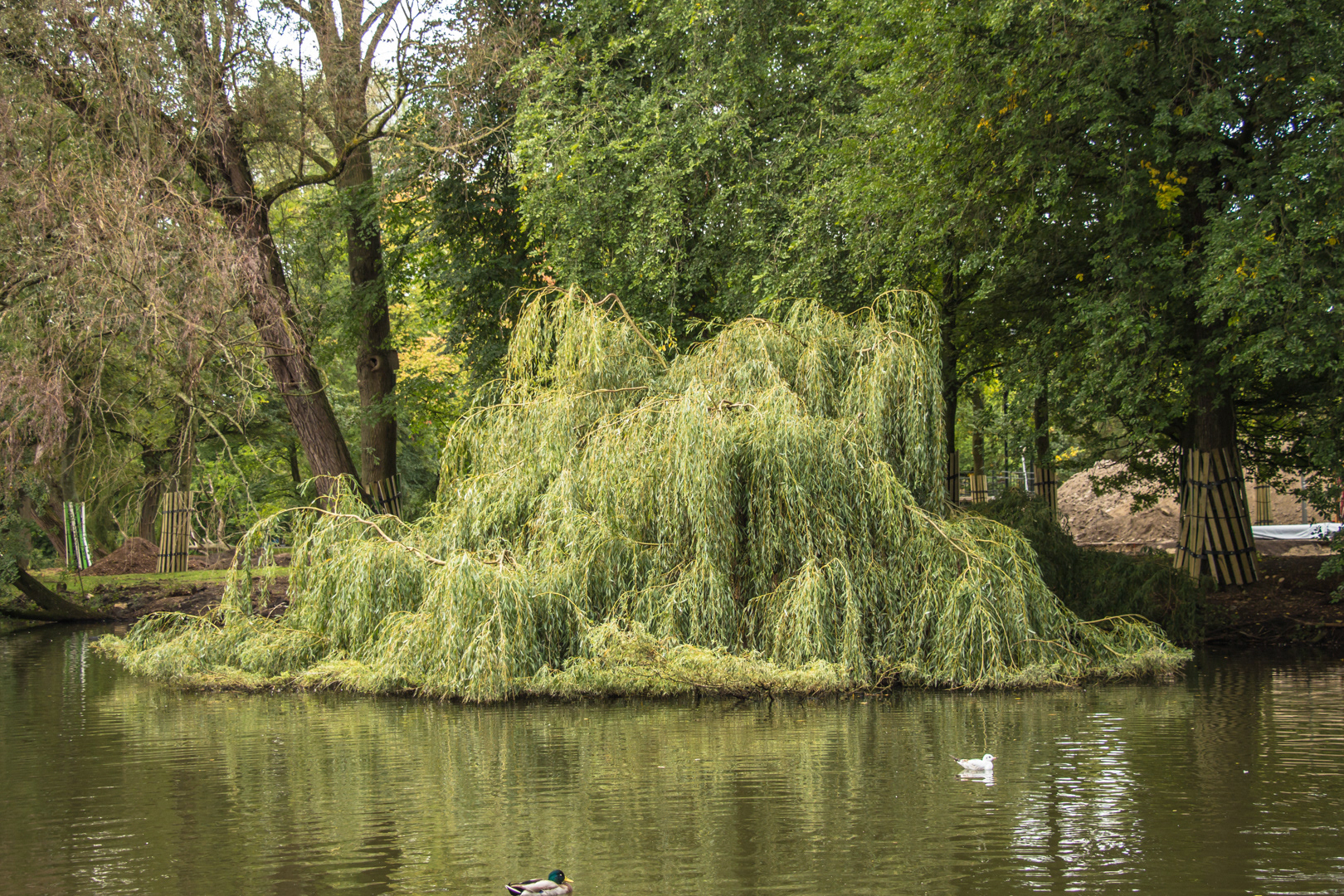 Amsterdam Weekend - Image 27