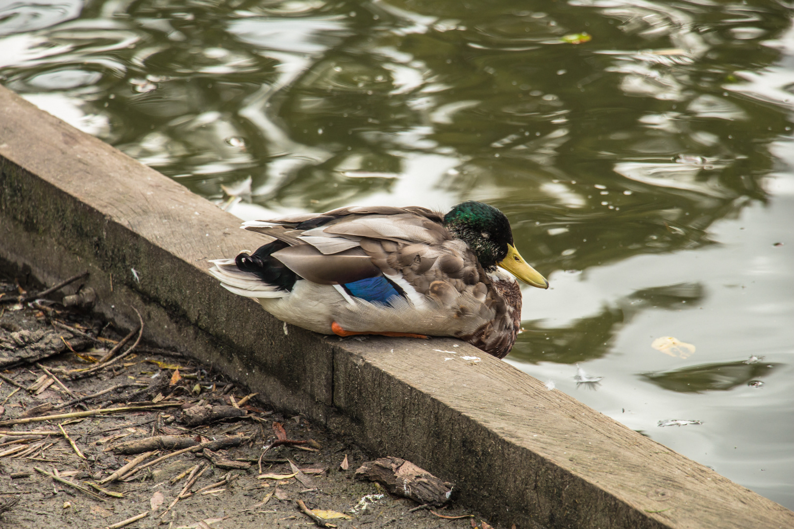 Amsterdam Weekend - Image 29