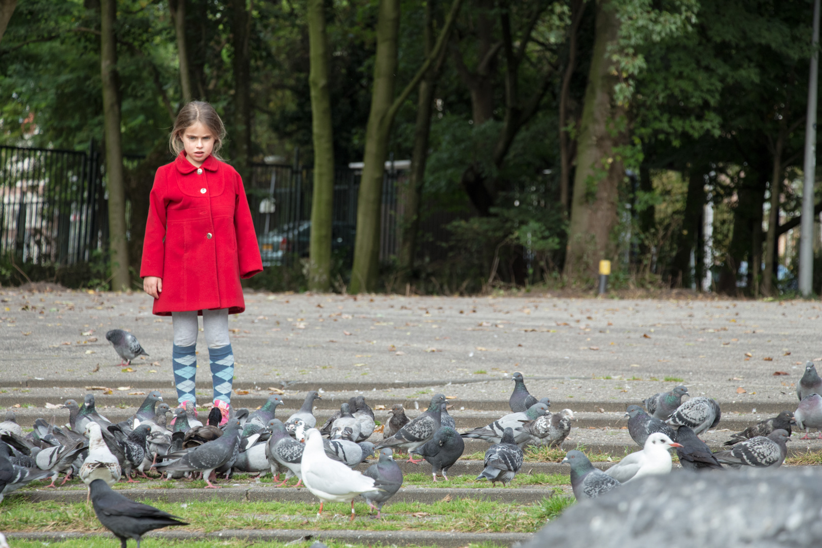 Amsterdam Weekend - Image 31