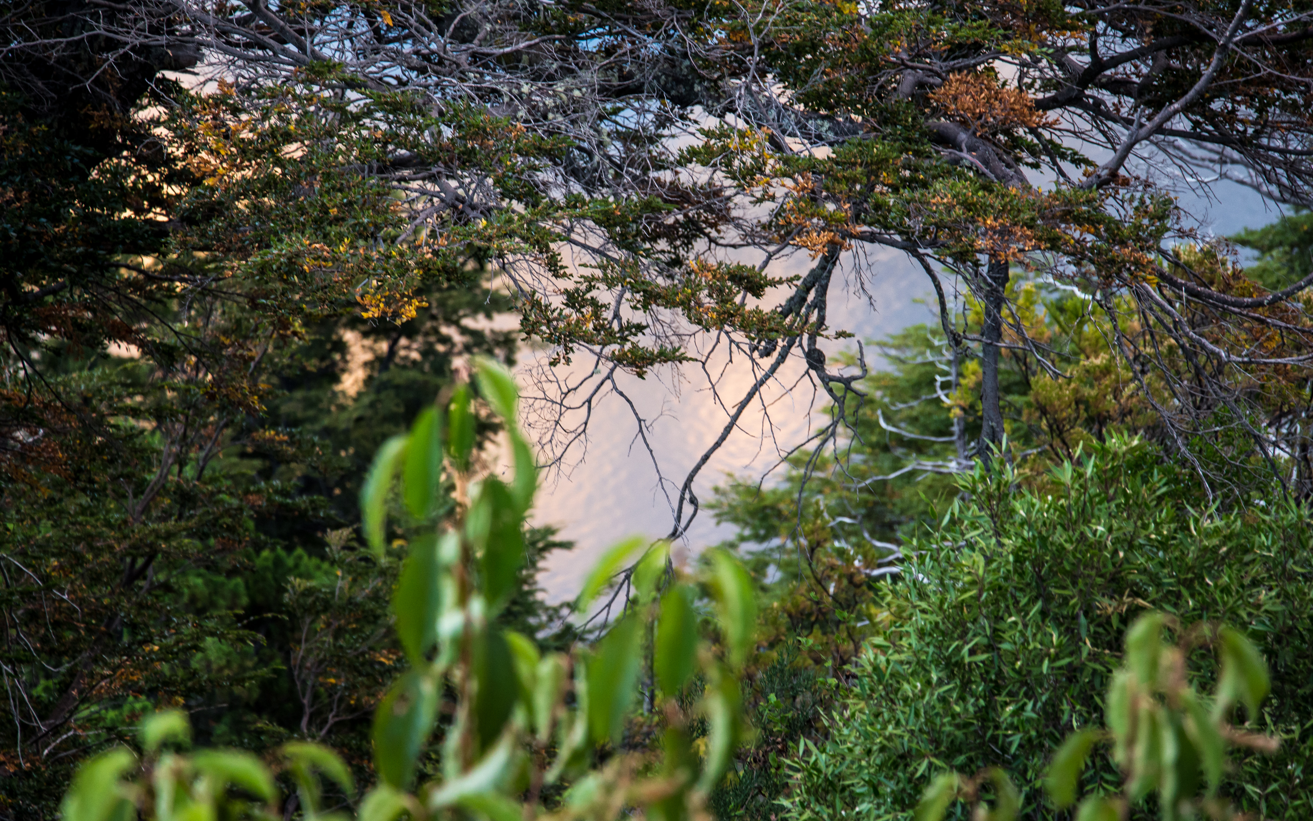 Bariloche Sights - Image 13