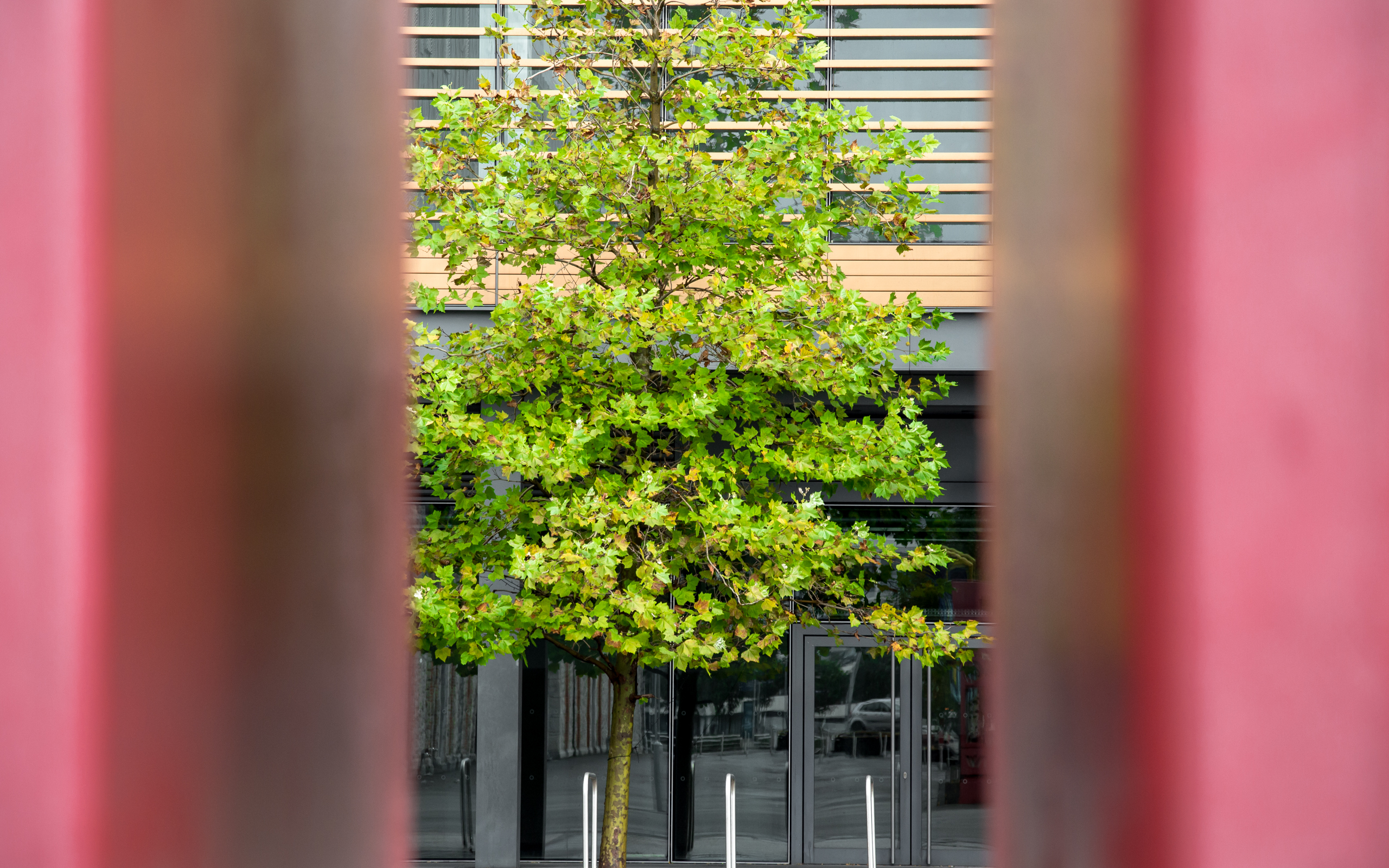 Erin go Bragh - Image 4