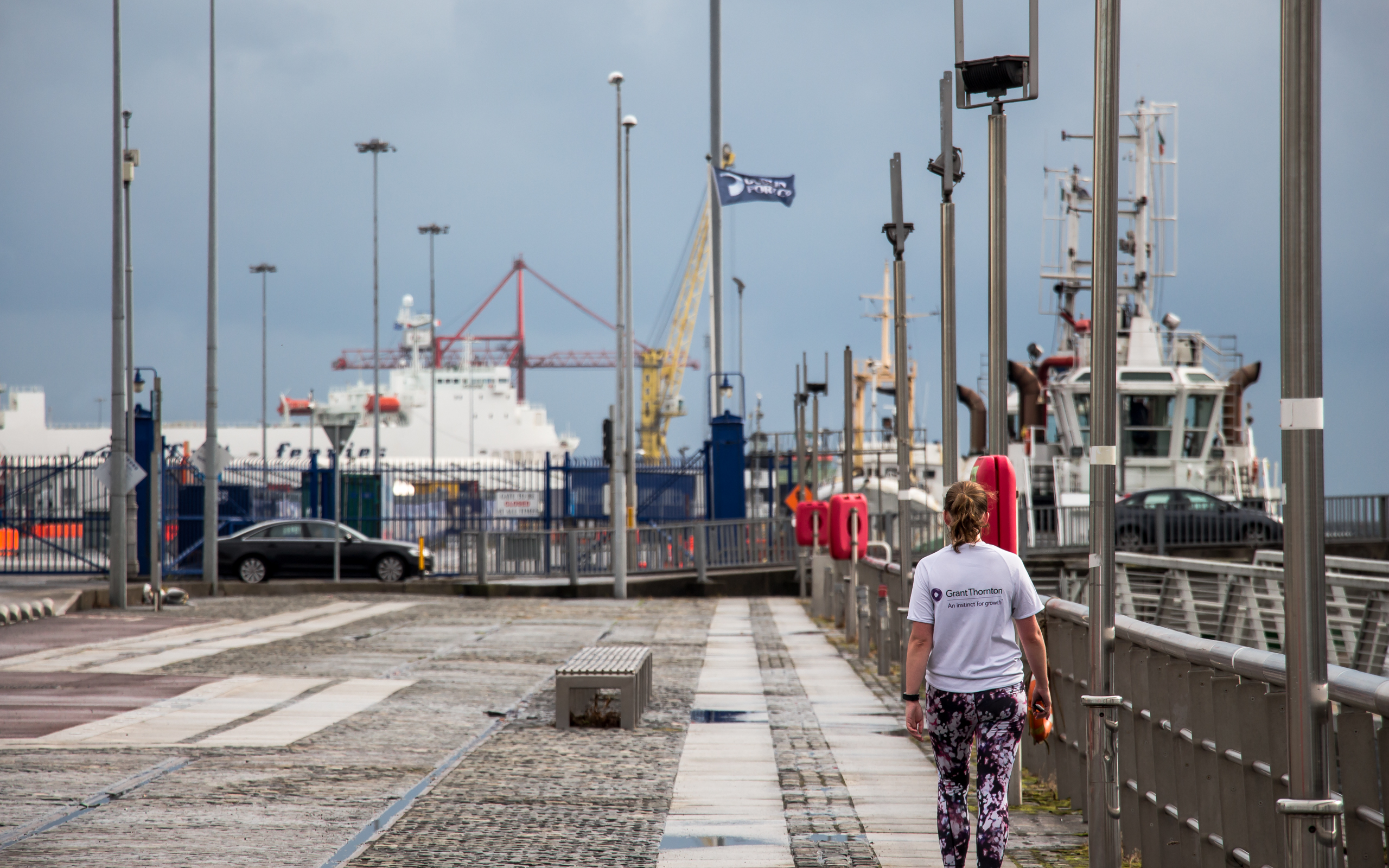 Erin go Bragh - Image 6