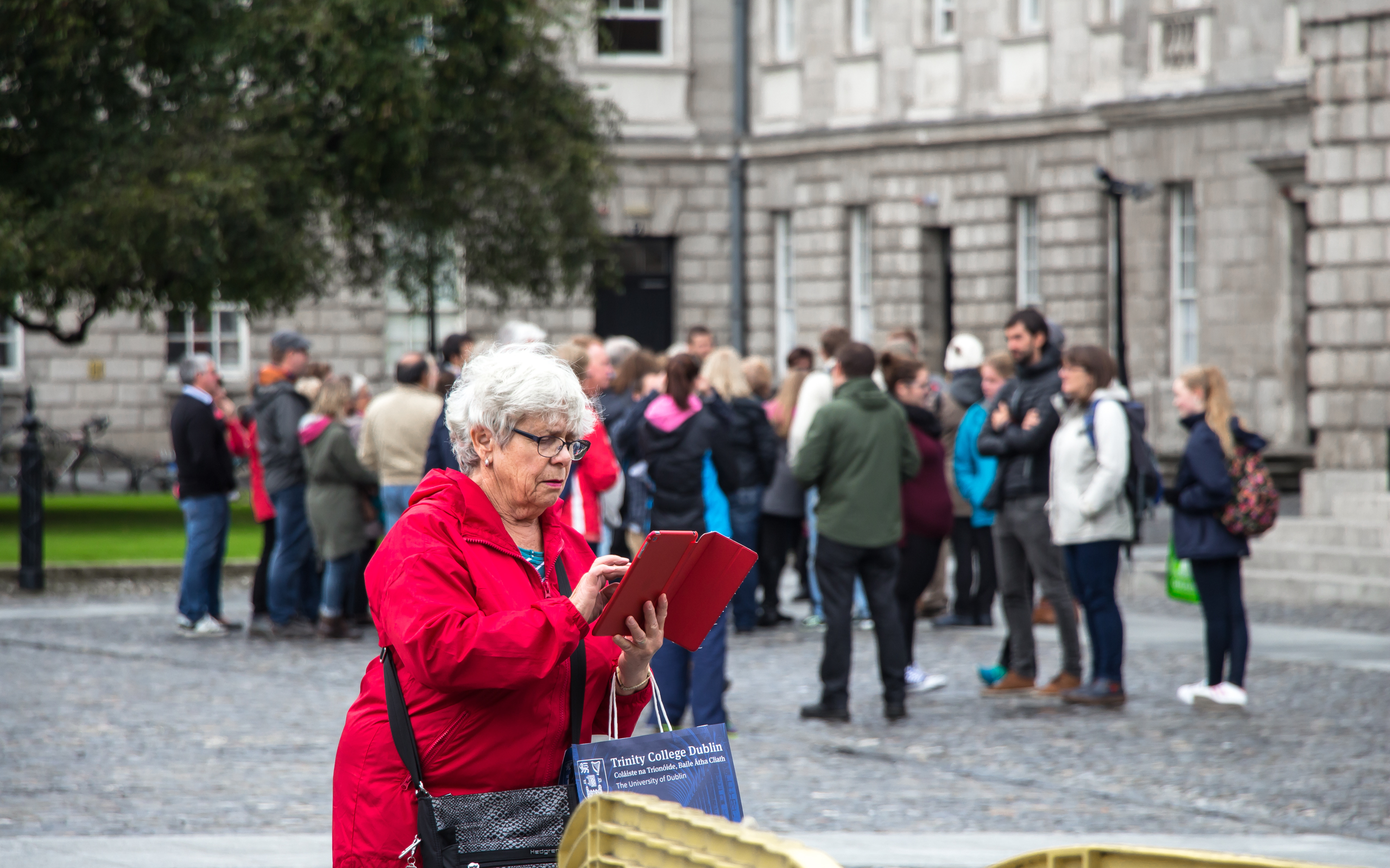 Erin go Bragh - Image 9
