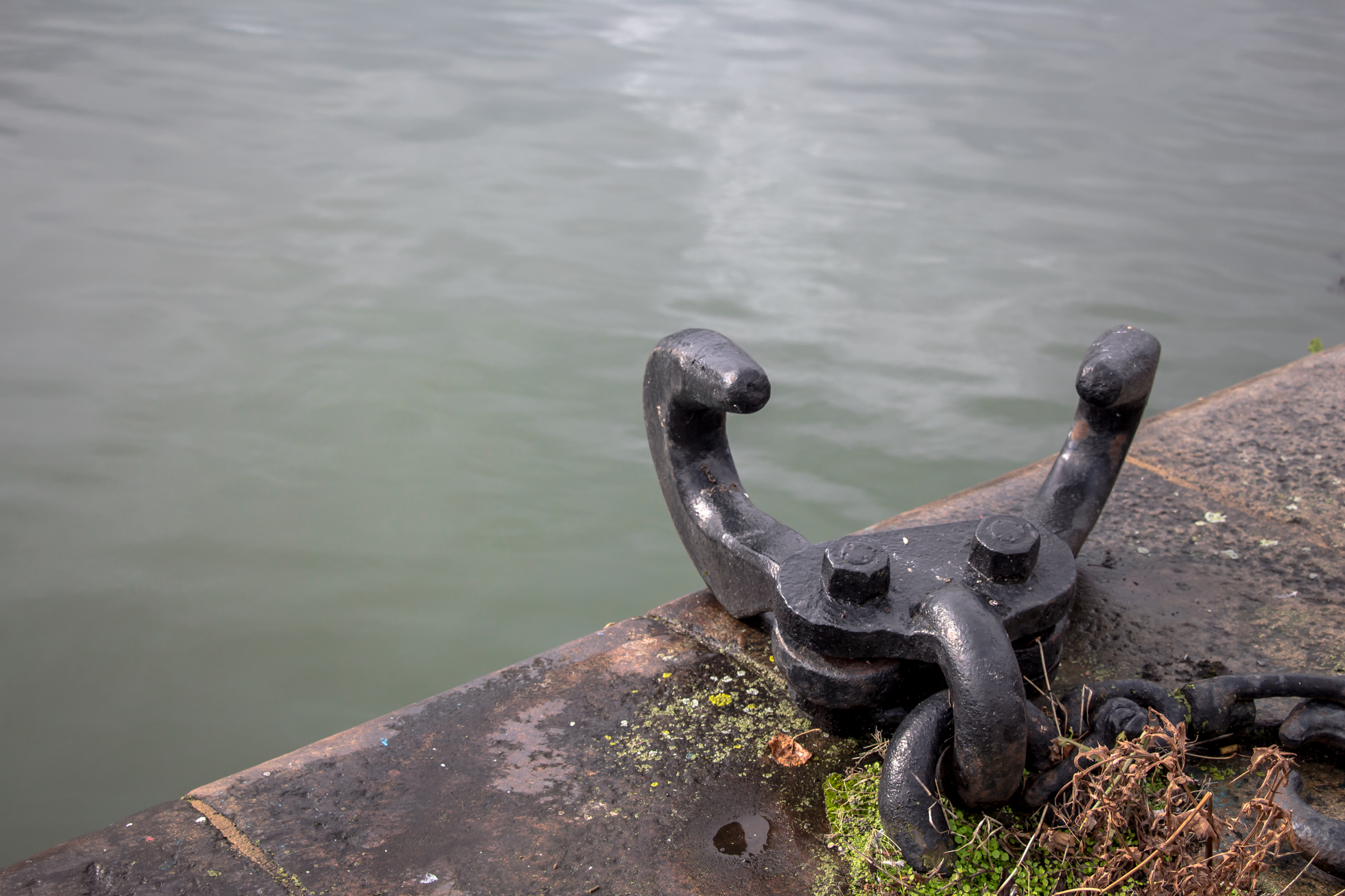 Erin go Bragh - Image 10