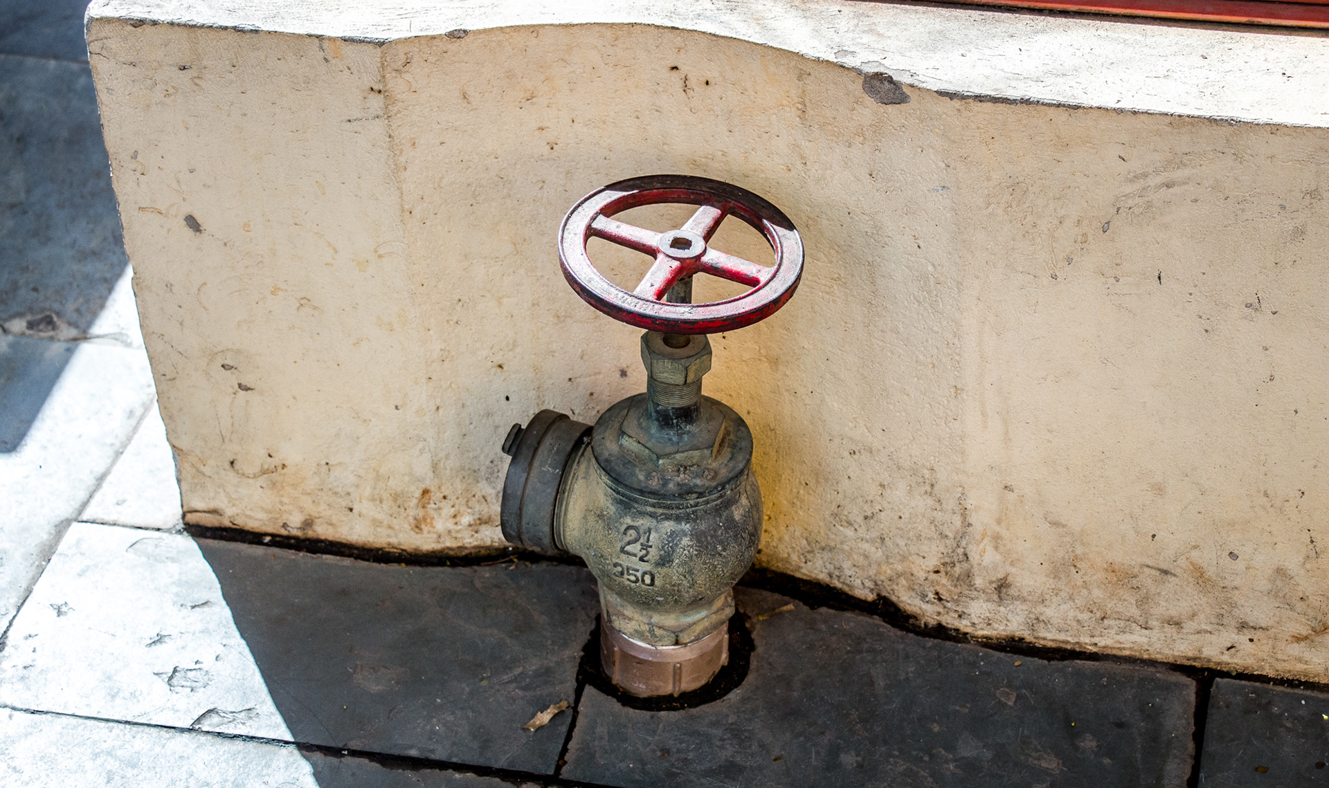 Experimental Holambra - Image 1