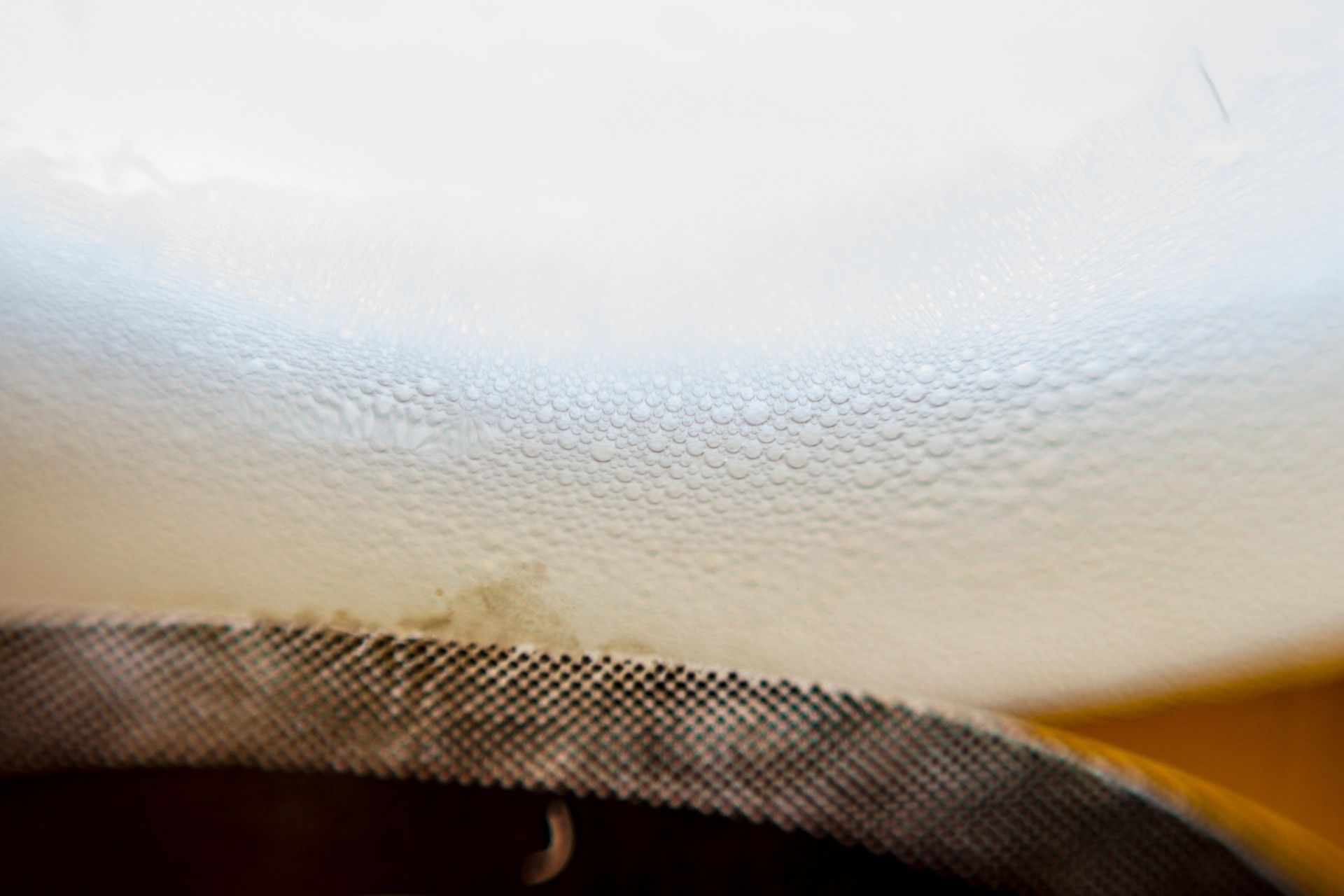 Experimental Holambra - Image 9