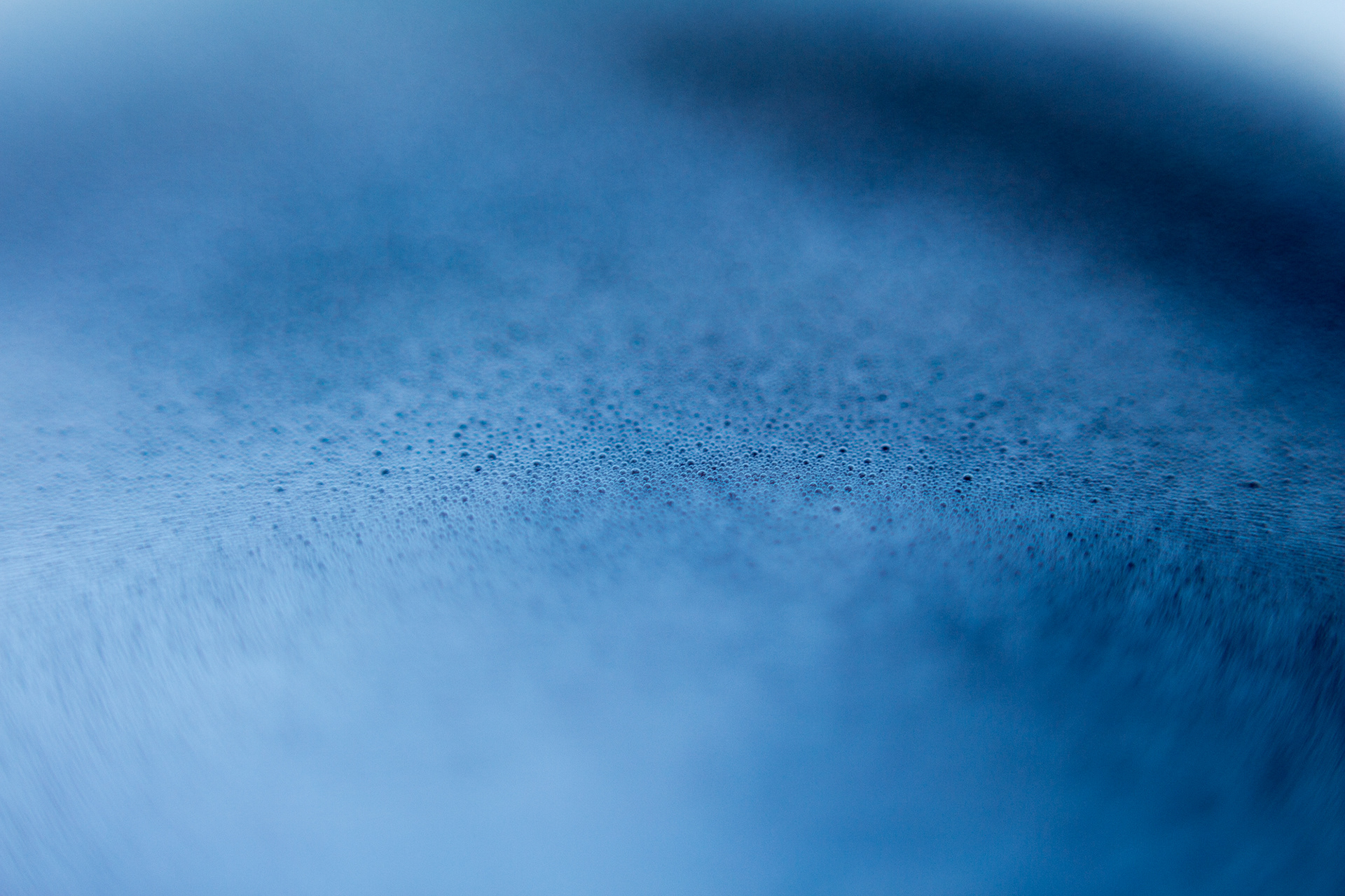 Experimental Holambra - Image 11