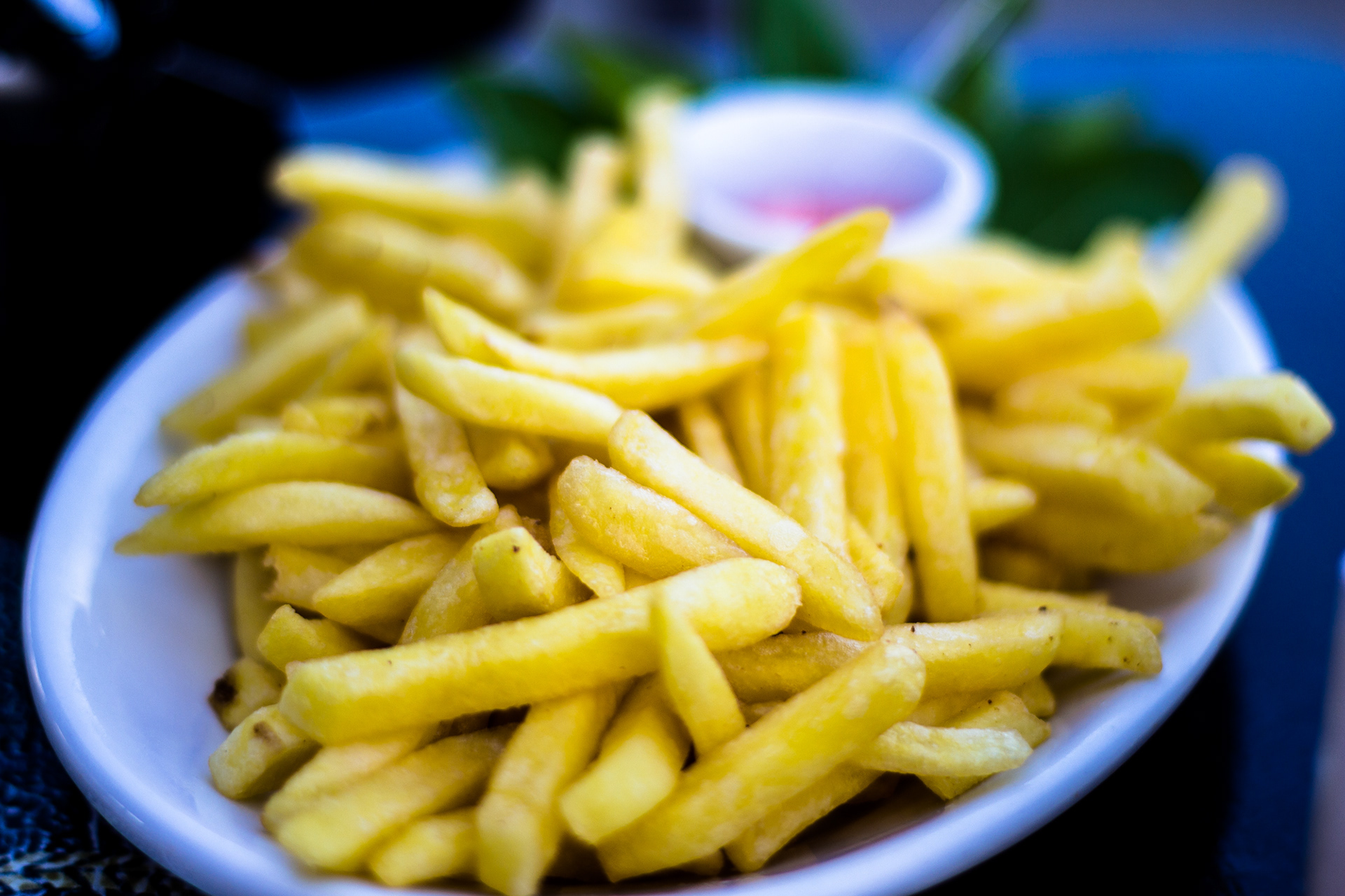 Experimental Holambra - Image 15