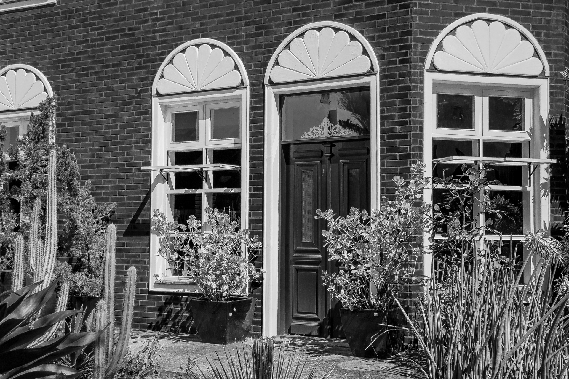 Holambra in BW - Image 2