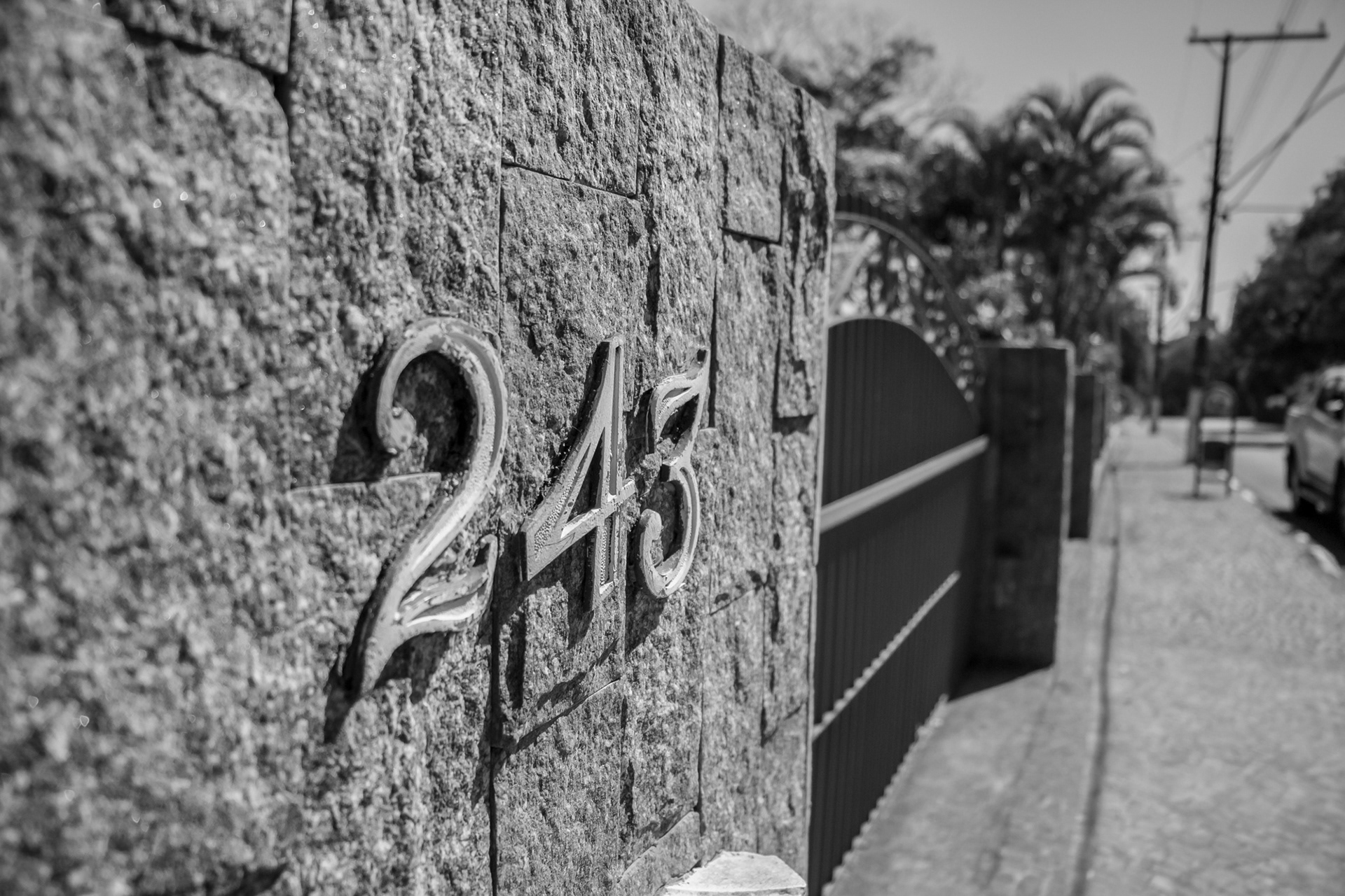 Holambra in BW - Image 3