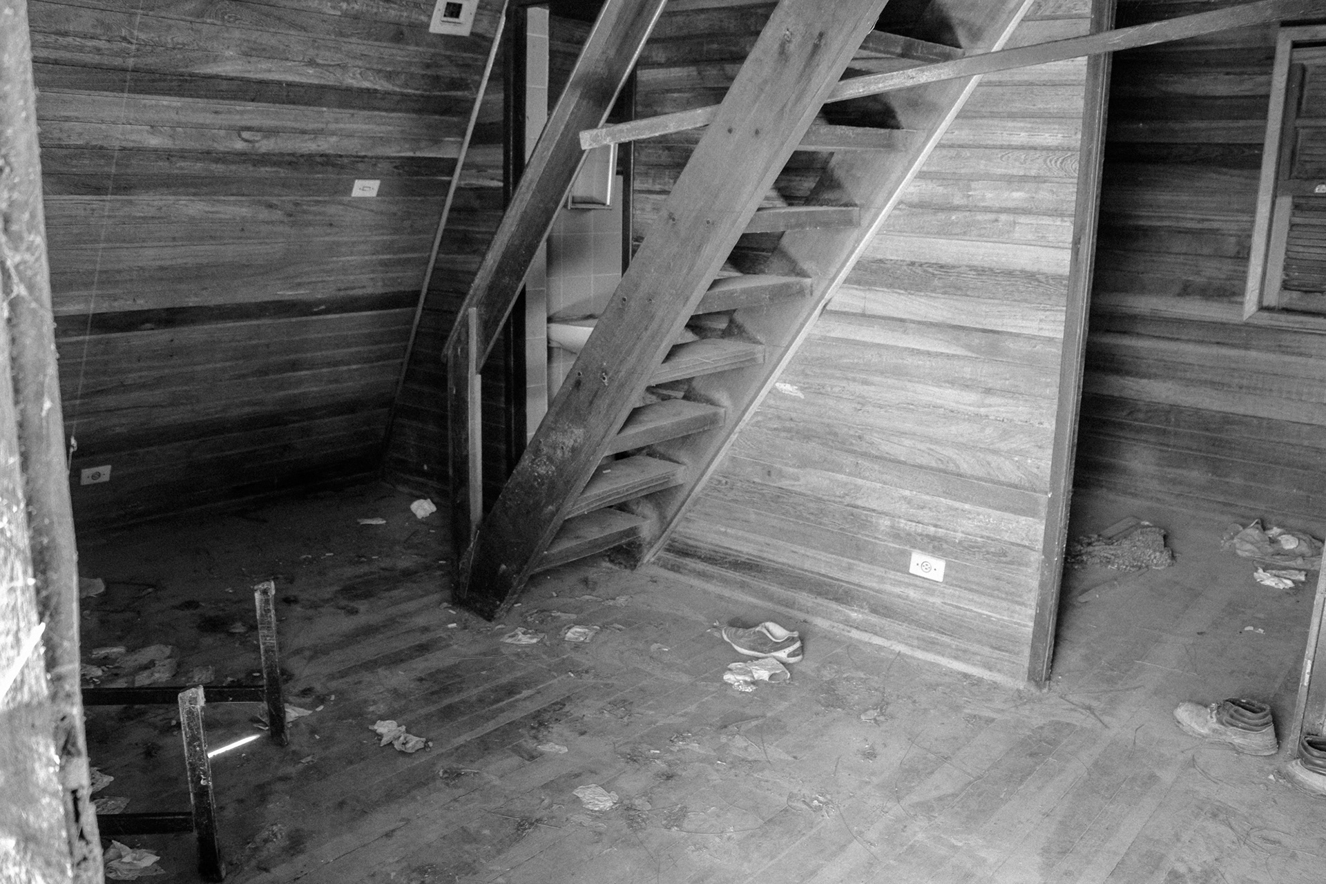 Holambra in BW - Image 5