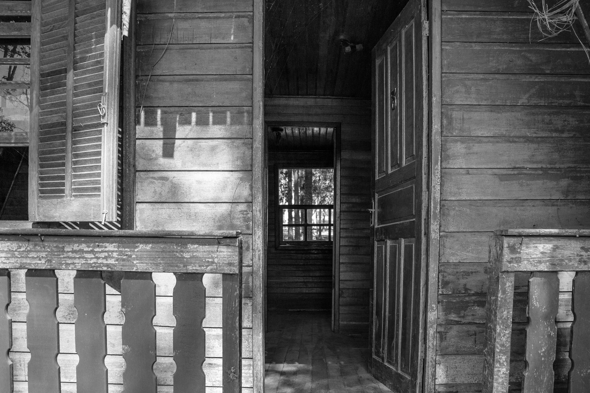 Holambra in BW - Image 7