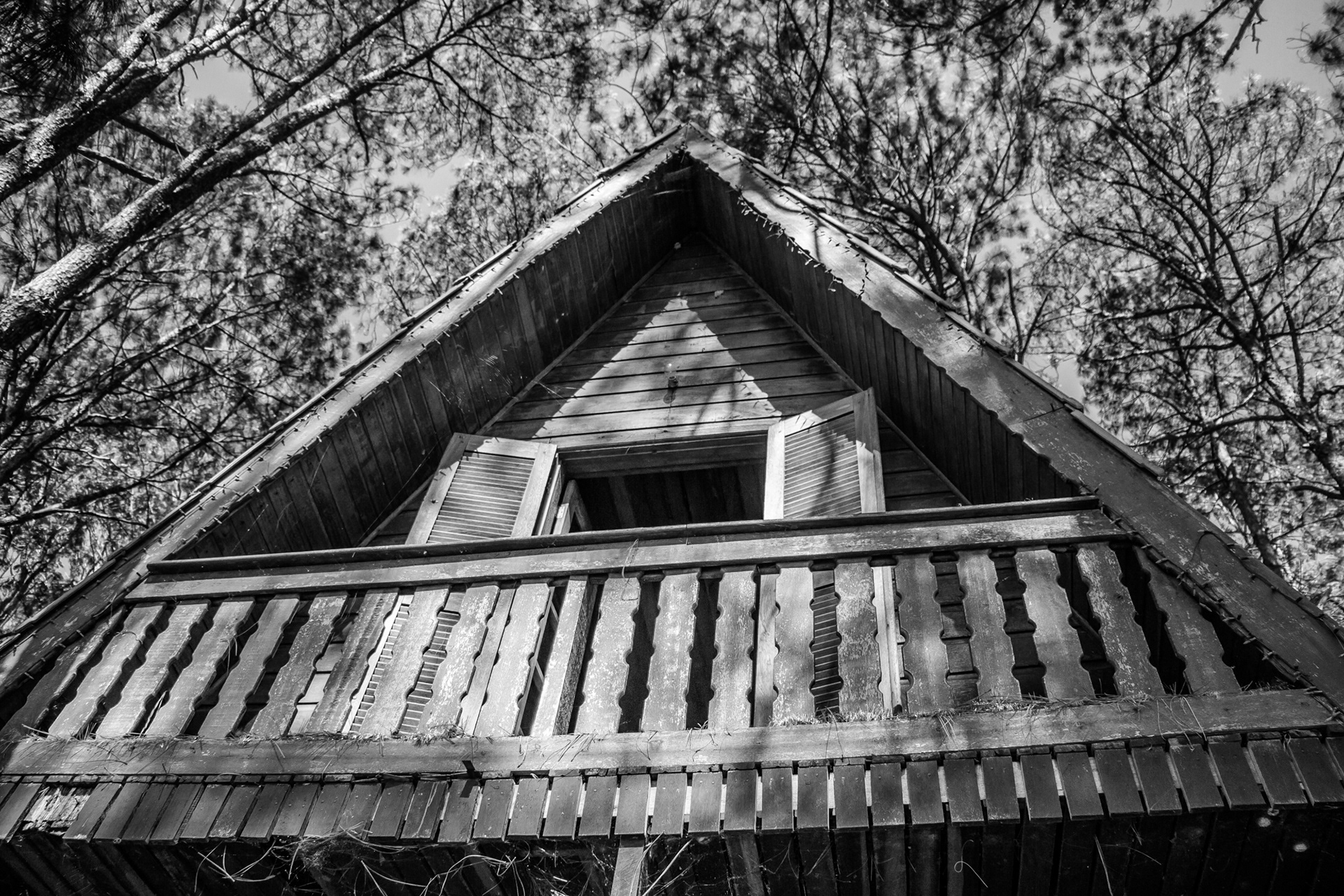 Holambra in BW - Image 9