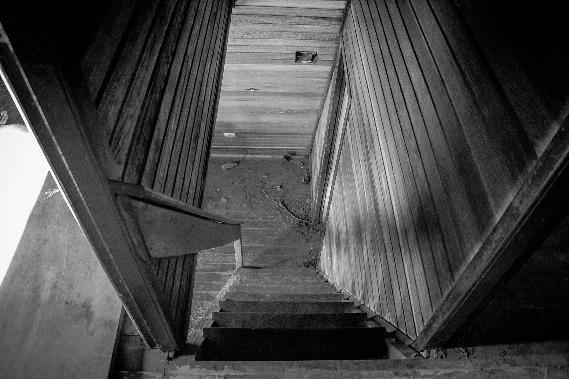 Holambra in BW - Image 10