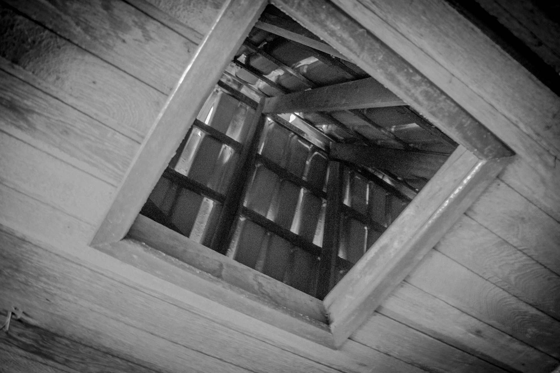 Holambra in BW - Image 11