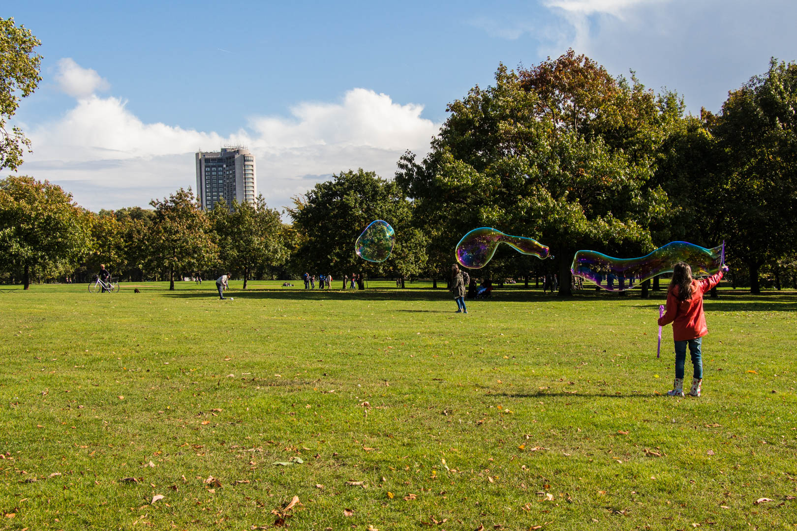 Hyde Park - Image 9