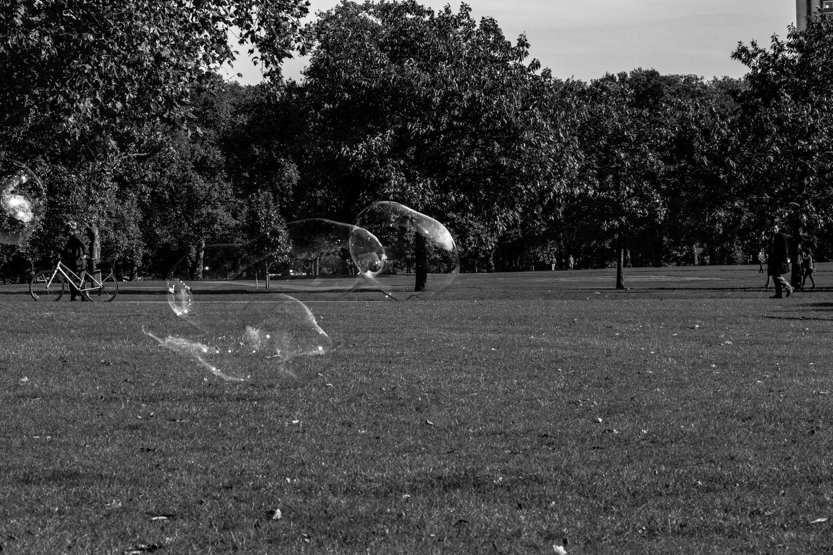 Hyde Park - Image 11