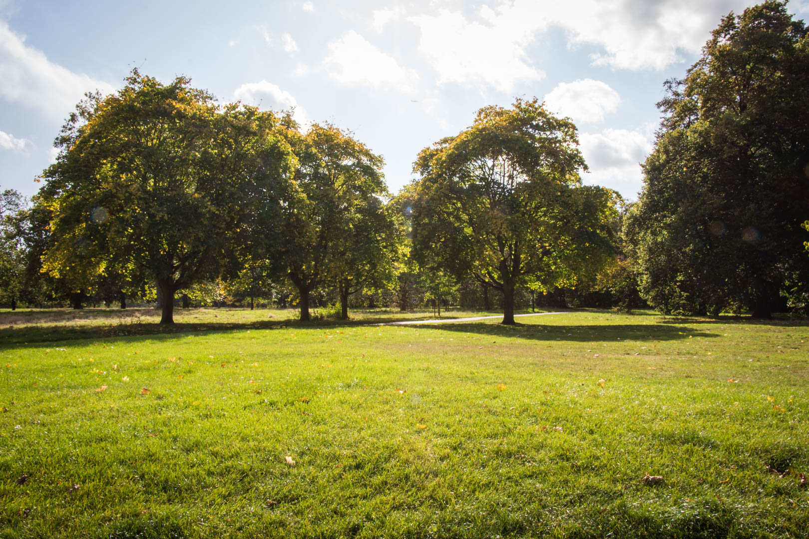 Hyde Park - Image 13