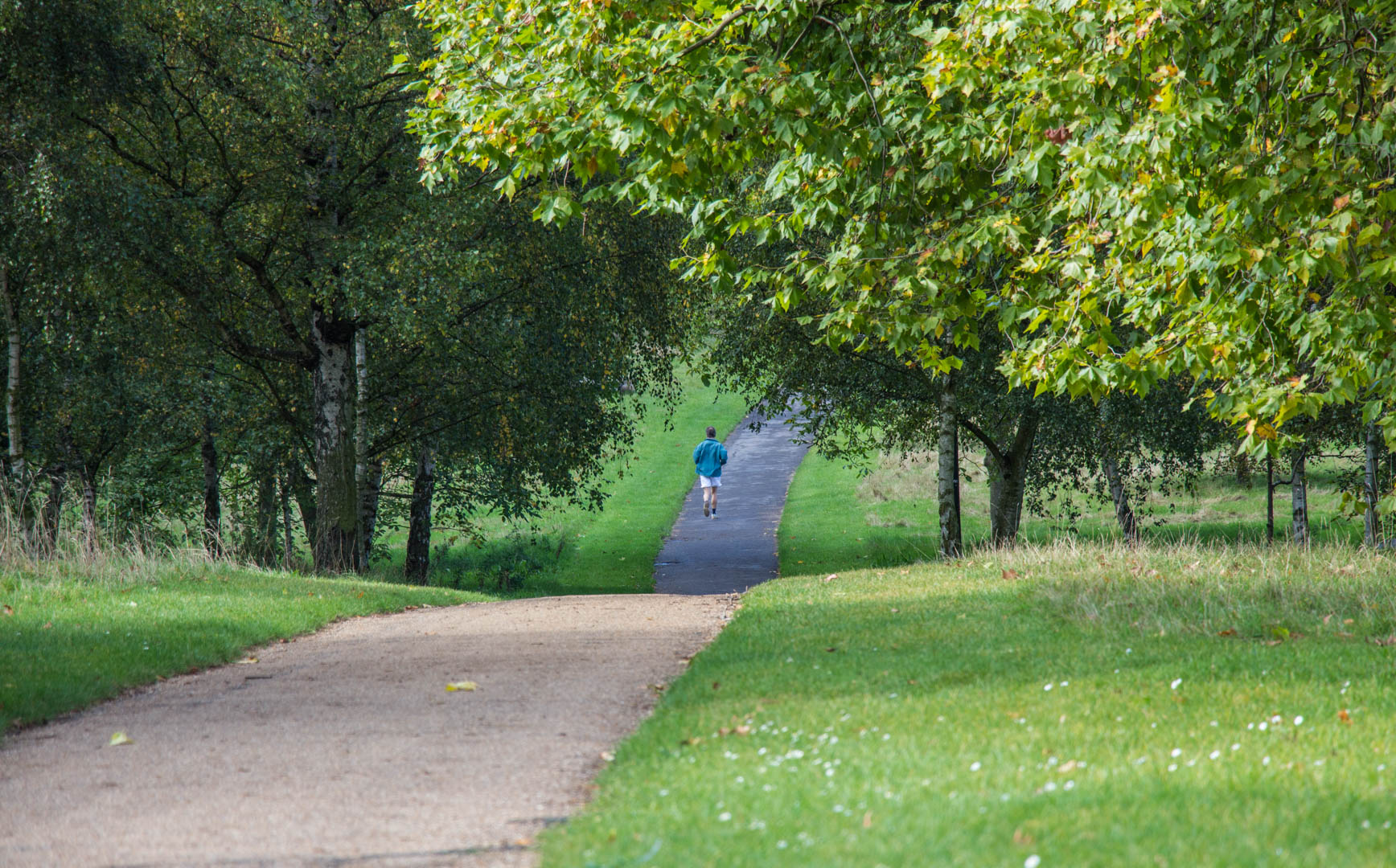 Hyde Park - Image 15