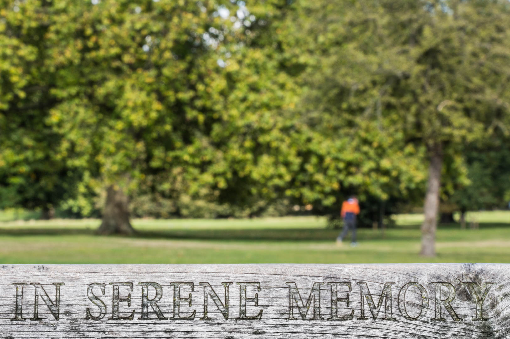 Hyde Park - Image 17