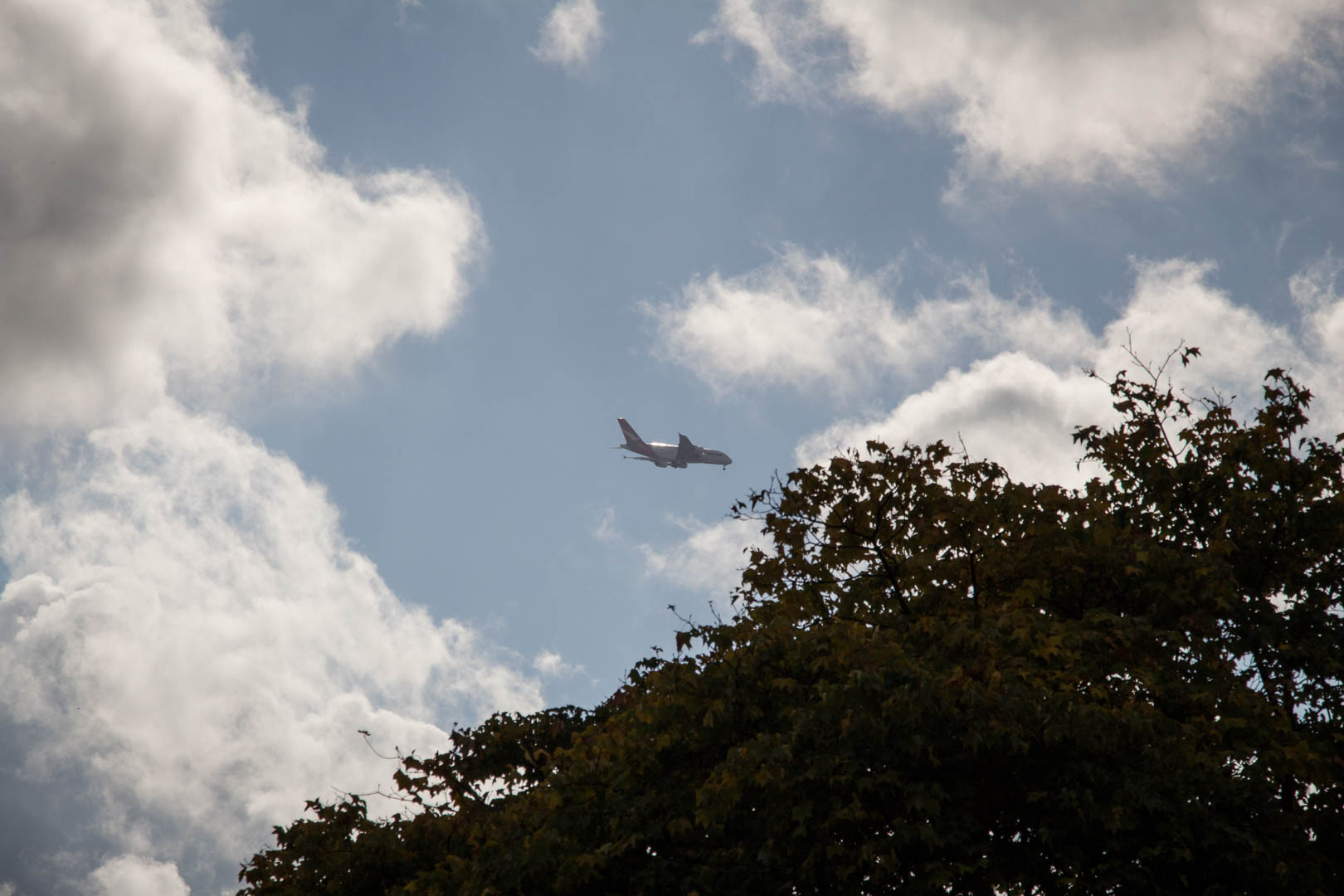 Hyde Park - Image 20