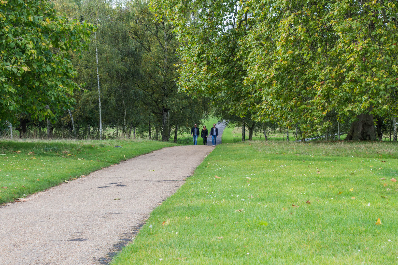 Hyde Park - Image 21