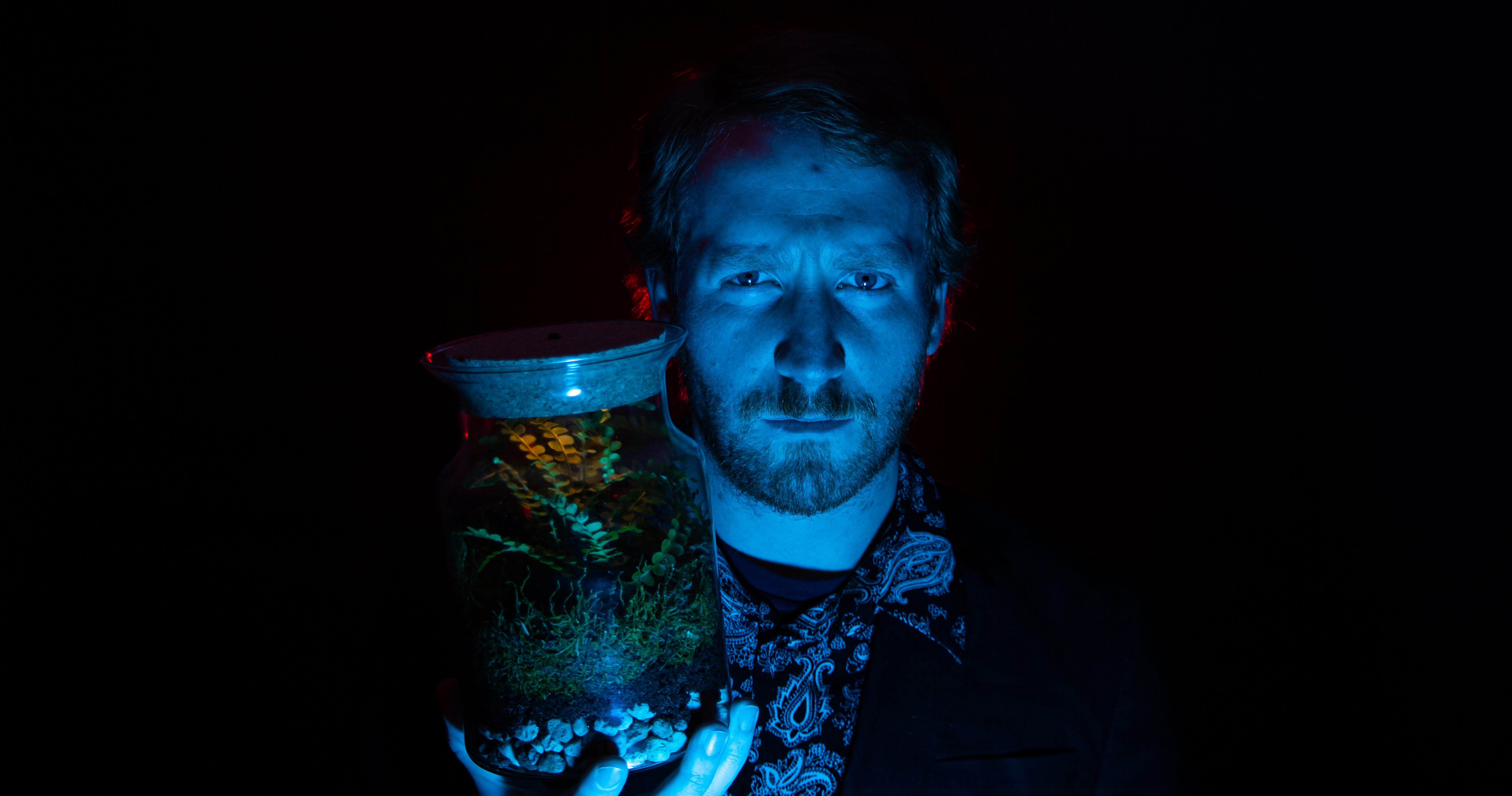 Light is Everything - Image 3