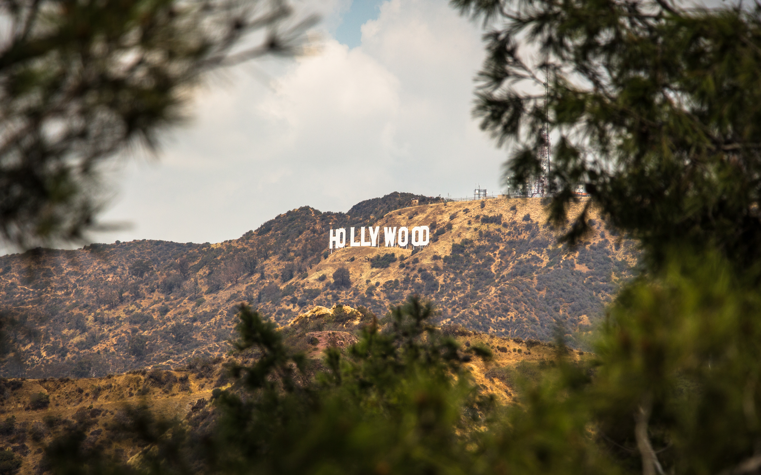 Los Angeles - Part II - Image 8