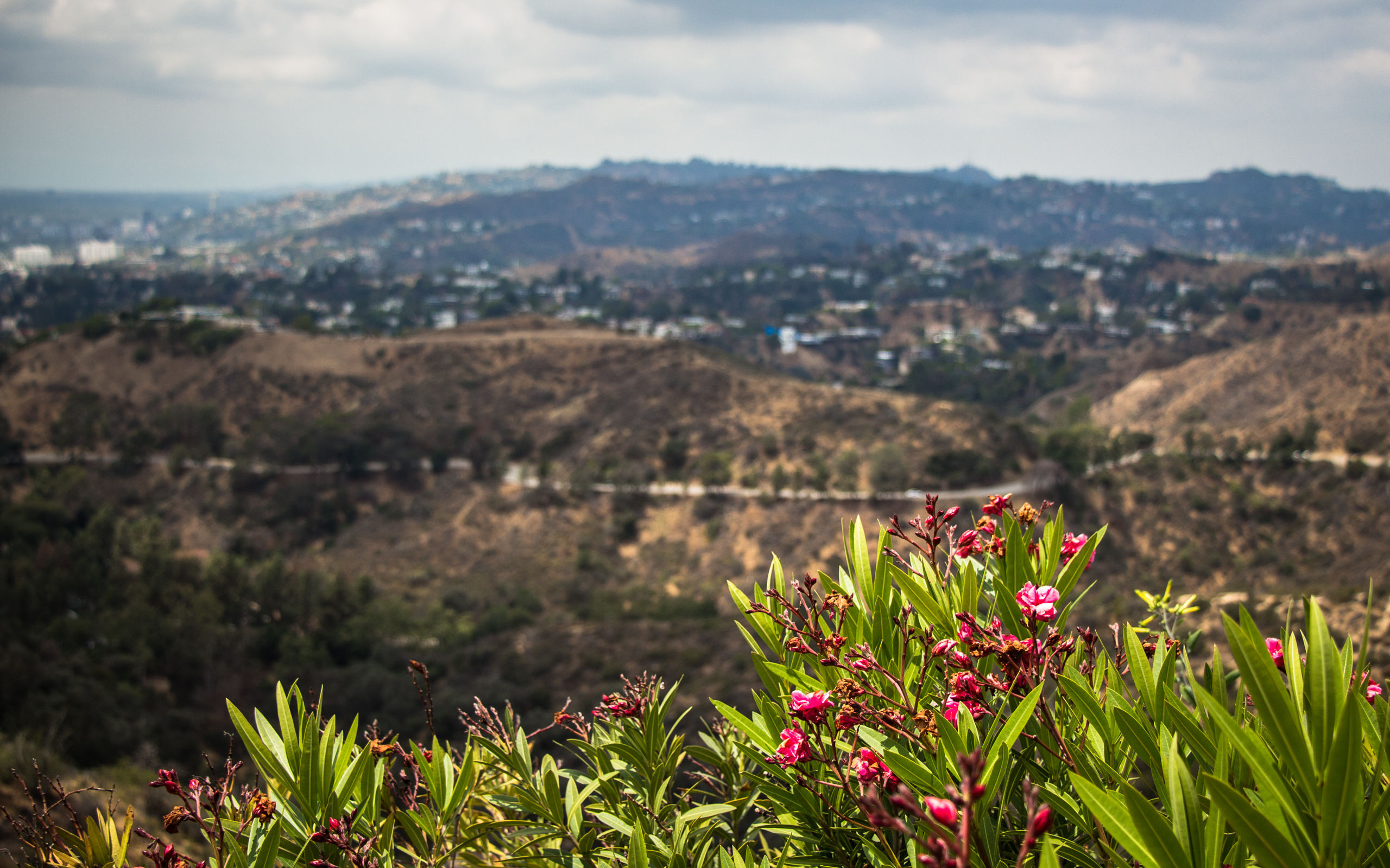 Los Angeles - Part II - Image 11