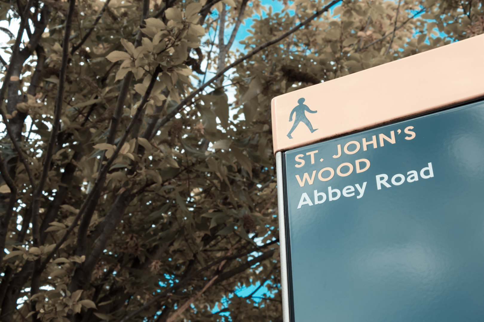 Mixed Abbey Road Sensations - Image 4