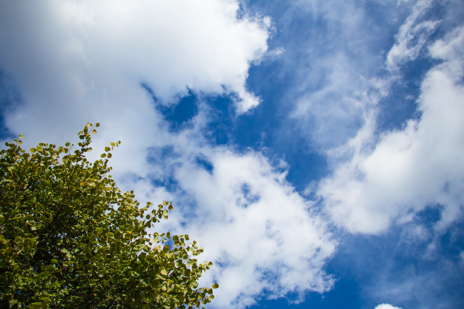 Mixed Abbey Road Sensations - Image 7