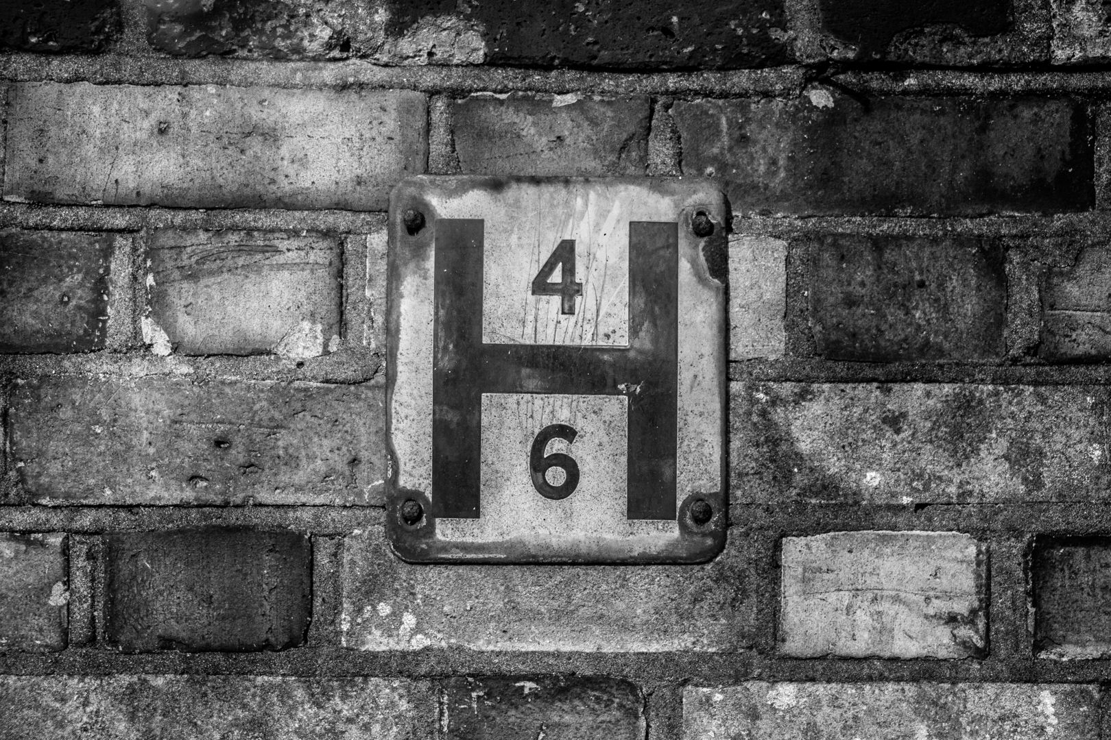 Mixed Abbey Road Sensations - Image 8