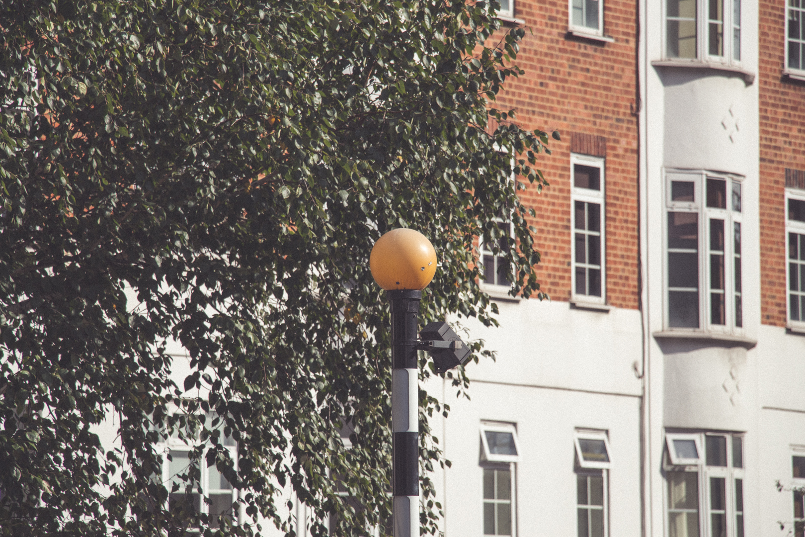 Mixed Abbey Road Sensations - Image 10