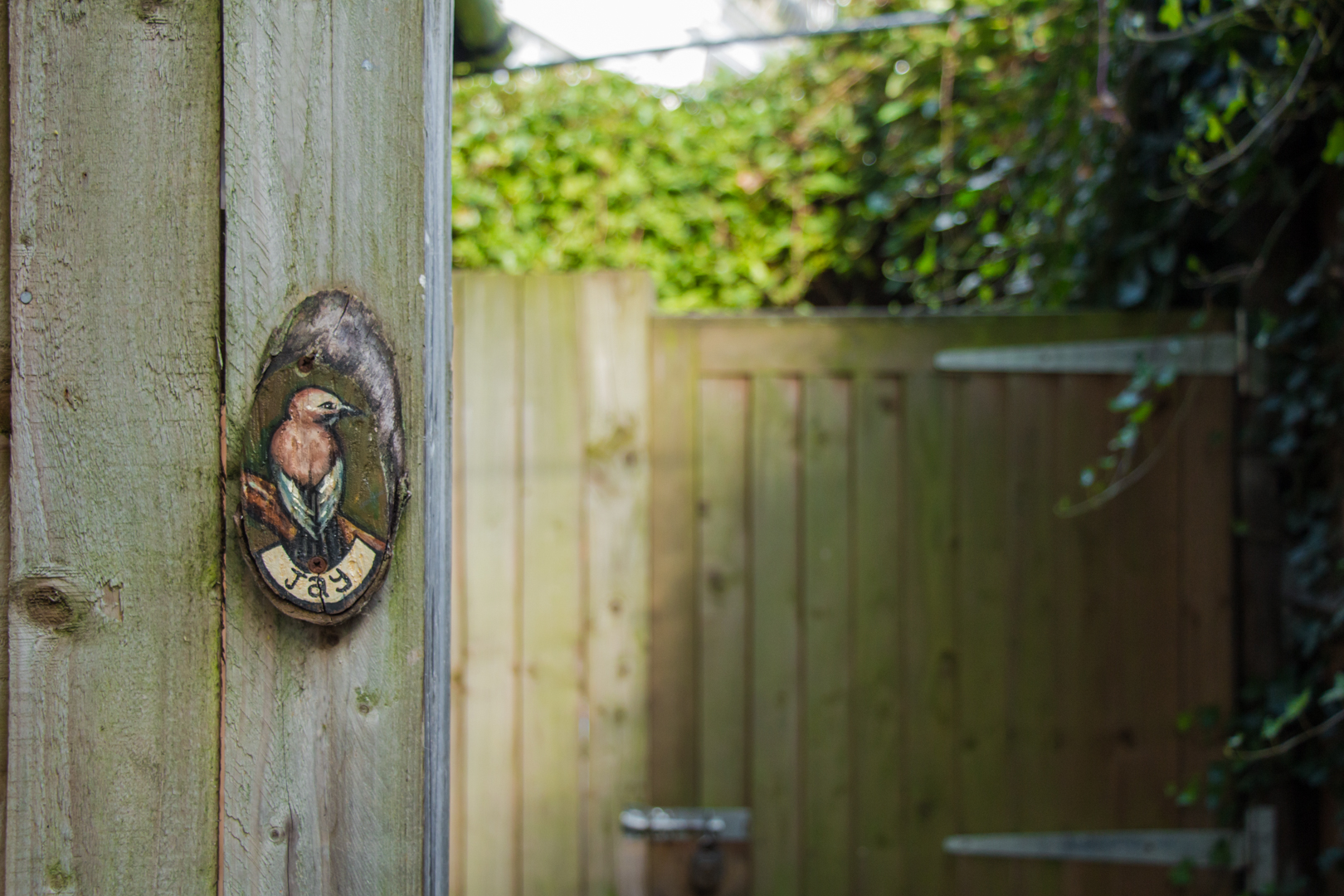 Mixed Abbey Road Sensations - Image 11