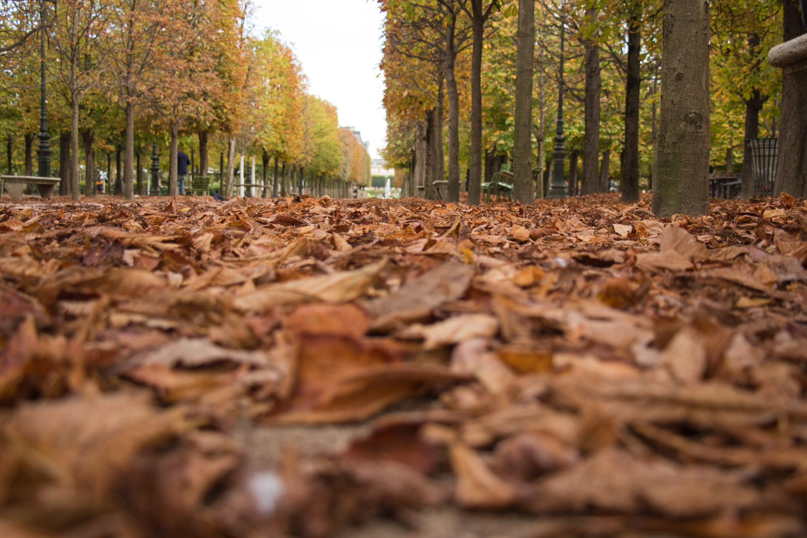 More Paris - Image 9