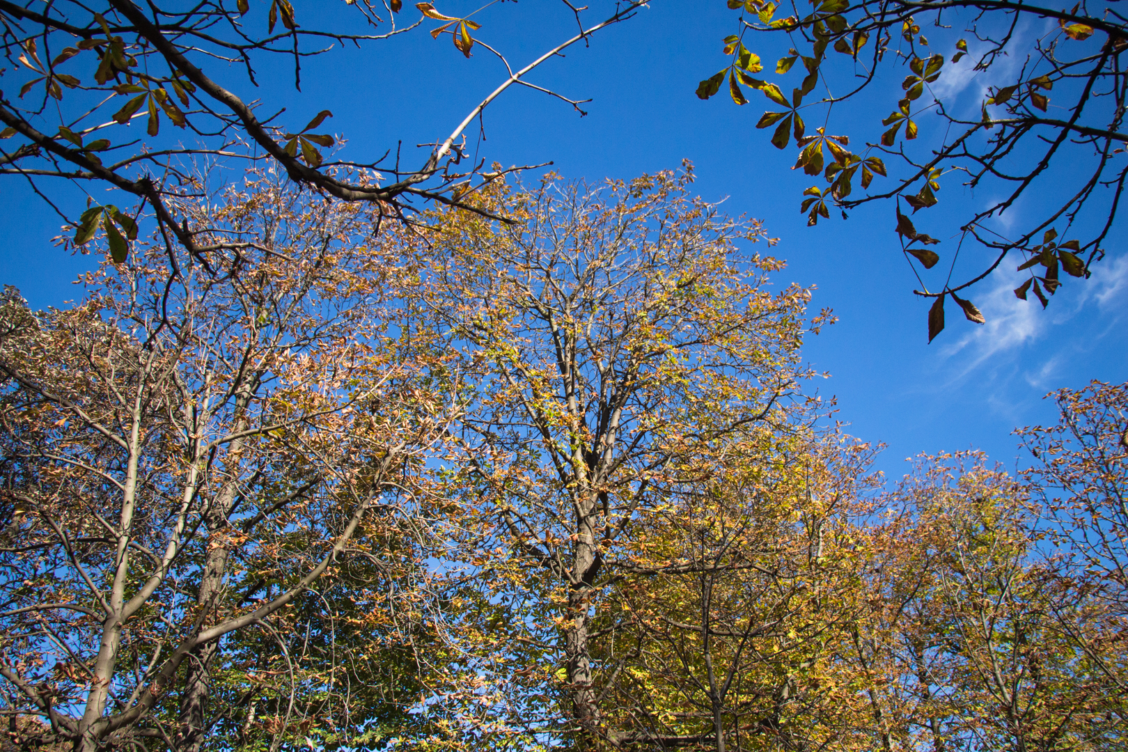 More Paris - Image 30