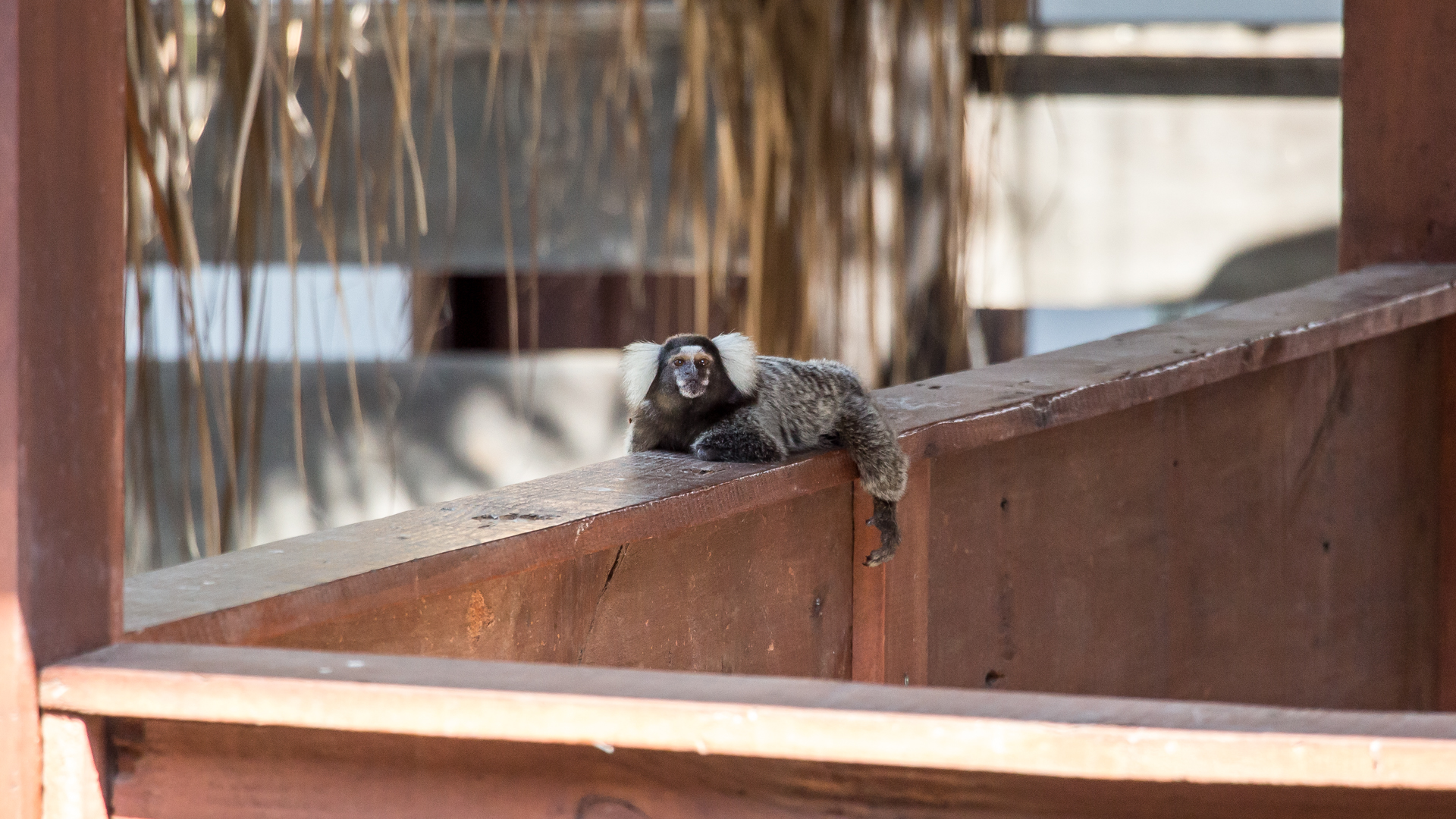 Sand & Mountains - Image 9