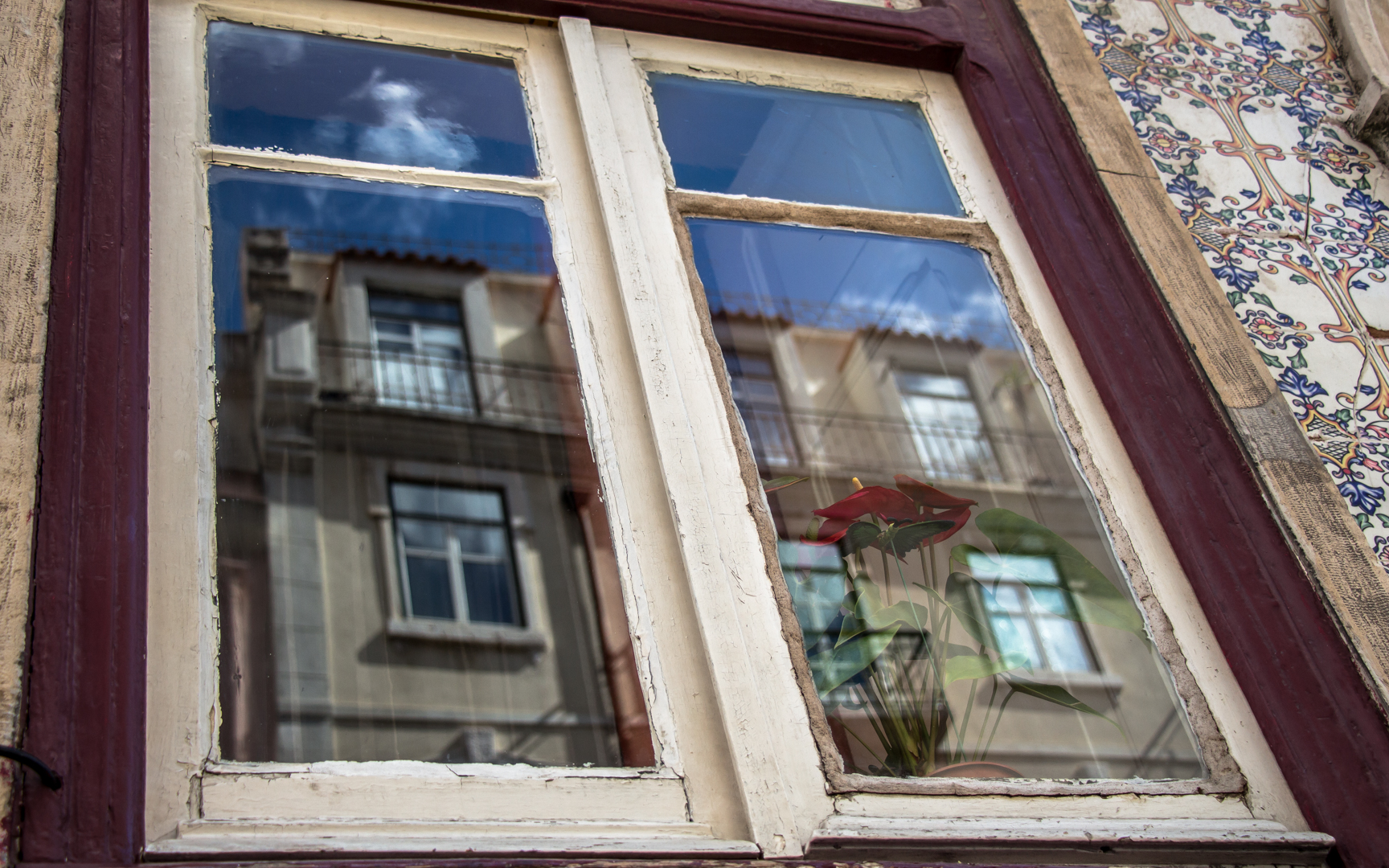 Windows, doors and pentacorns. - Image 3